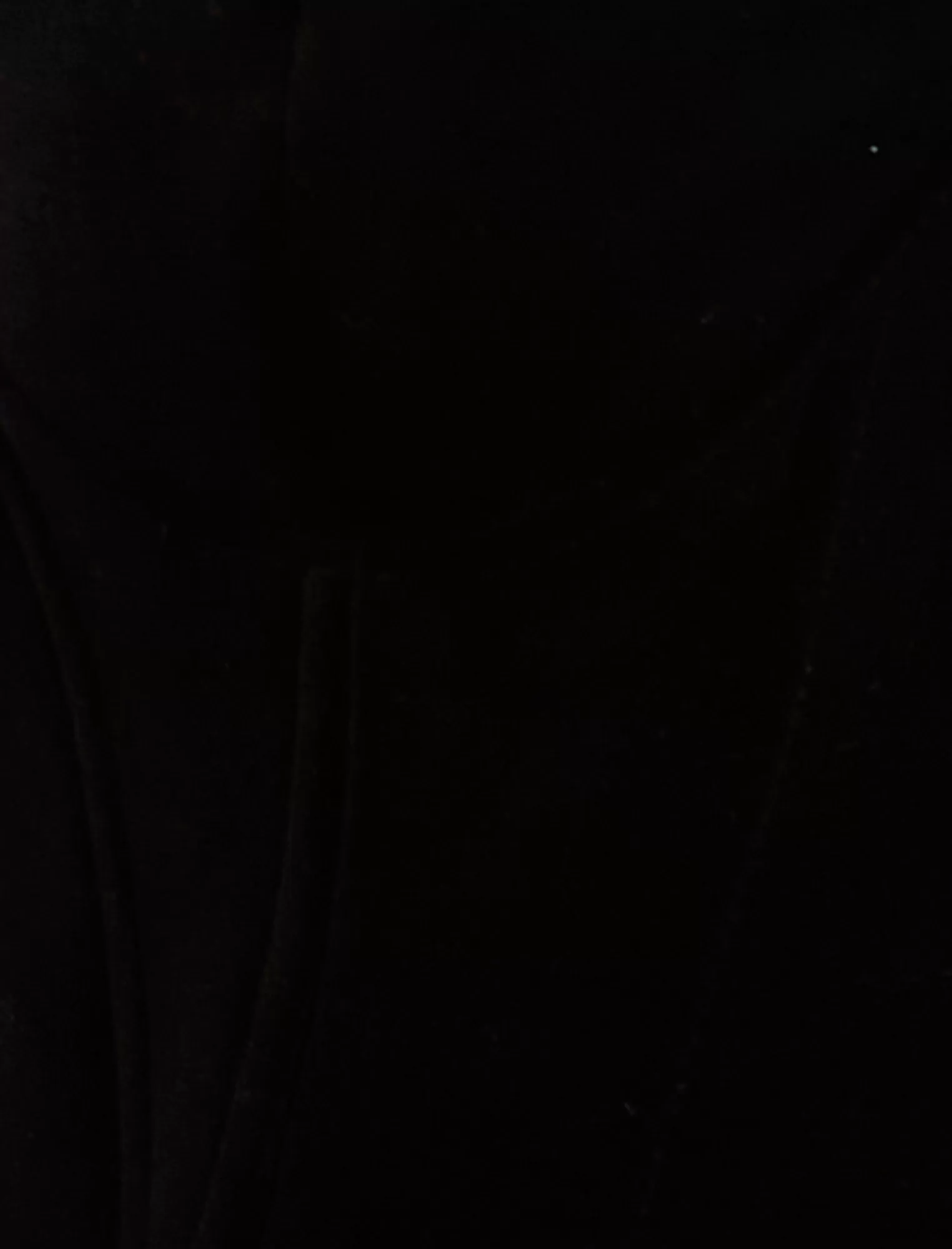 Shop BCBGMAXAZRIA Chaqueta De Esmoquin Con Corse De Terciopelo Maren Negro